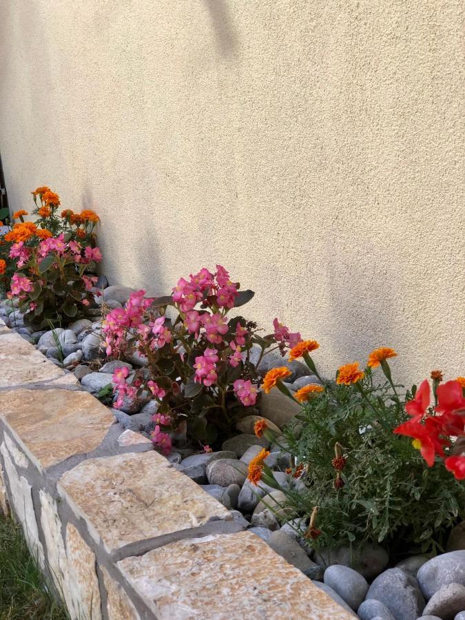 Vila Razic Danilovgrad Dış mekan fotoğraf